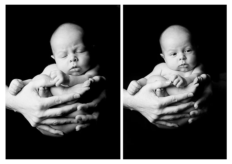 Brooklin Newborn Photographer