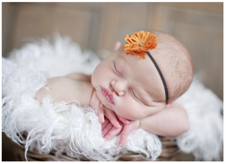 newborn photographer brooklin